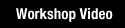 Workshop Video