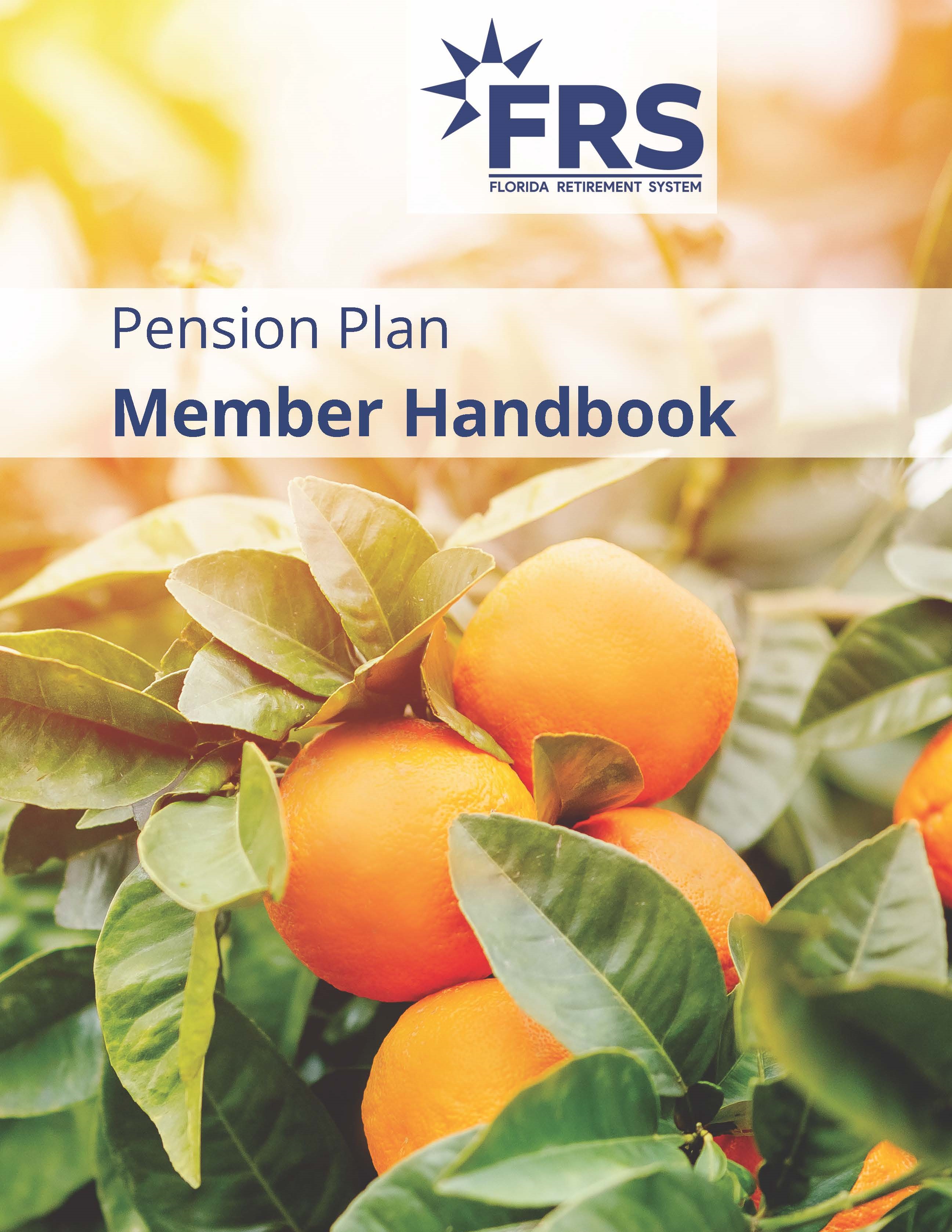 Pension plan member handbook